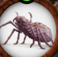 pasted-image-ZzLpCUXvymNun4Mk.png